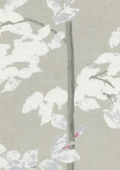 Beech - Linen
