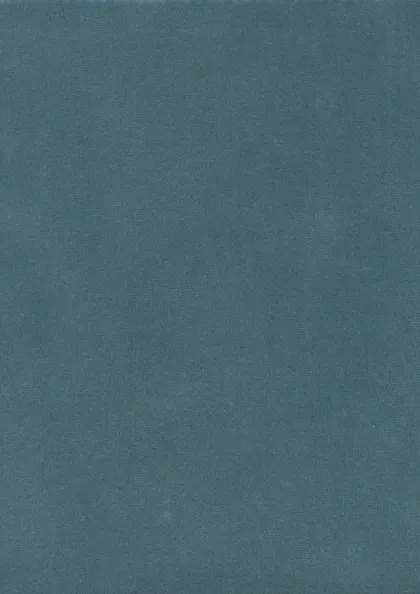 Rooksmoor Velvet - Blue Boy